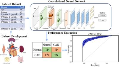 Advanced detection of coronary artery disease via deep learning analysis of plasma cytokine data